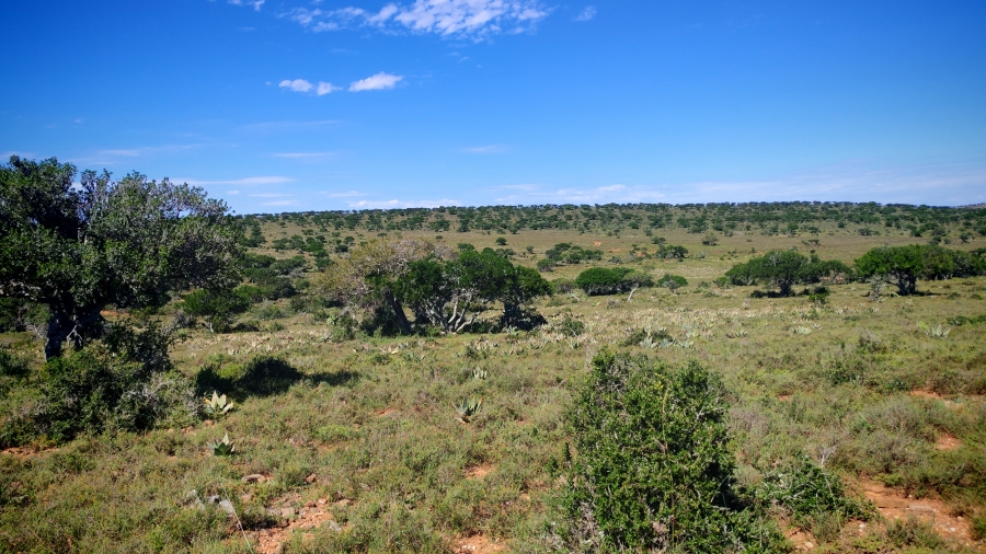 0 Bedroom Property for Sale in Somerset East Rural Eastern Cape